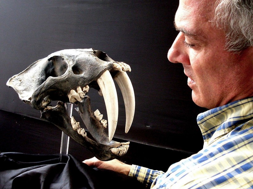 German paleontologist Klaus Hönninger in