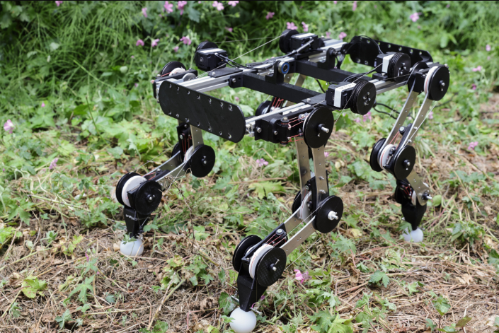 Robotic dog runs (almost) entirely on its own