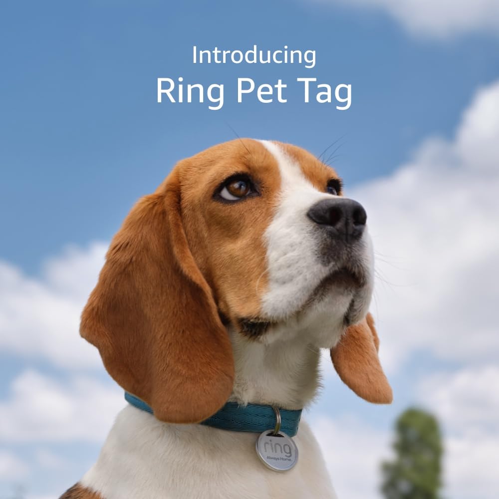 Ring Pet Tag Places QR Code for Easier Tracking: No GPS or Bluetooth?