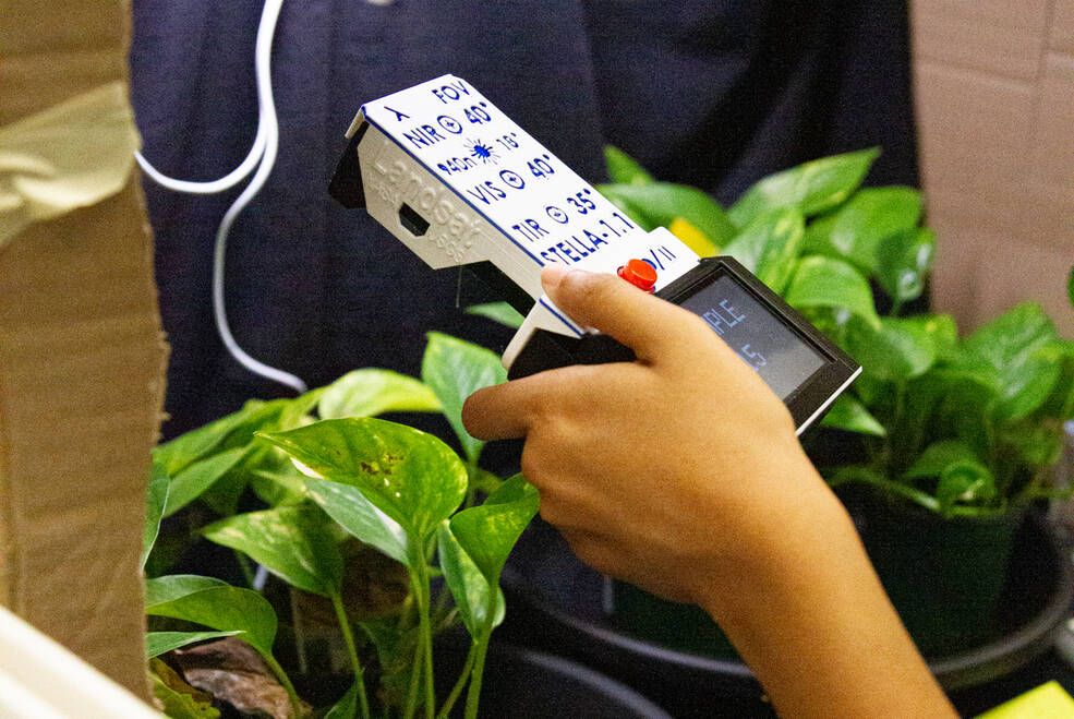 NASA's New DIY Educational Gadget STELLA Can Measure Plant's Health