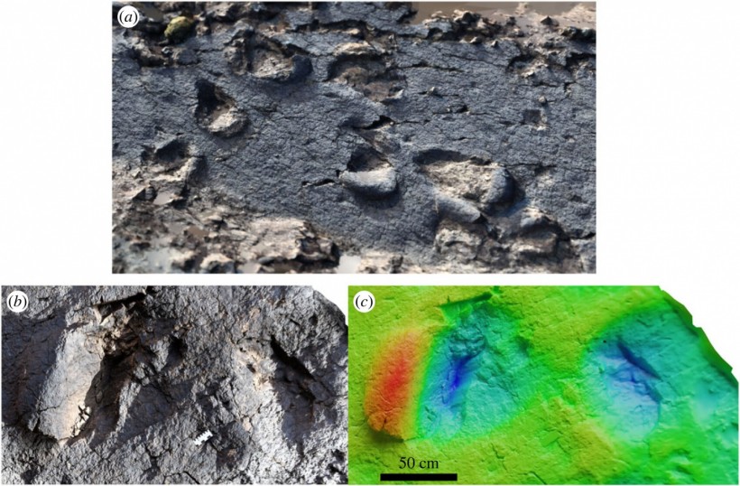 Paleobiologists Unearth Three New Jurassic Dinosaur Track Sites in Morocco