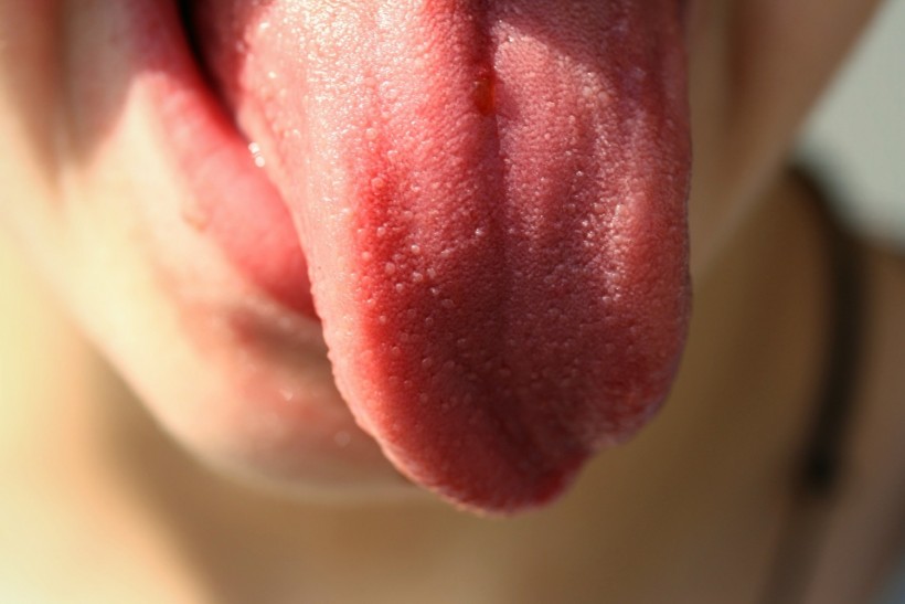 Tongue Human