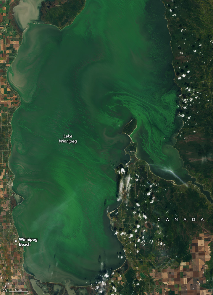 NASA Snaps Lake Winnipeg With Swirls of Blue-Green Algae