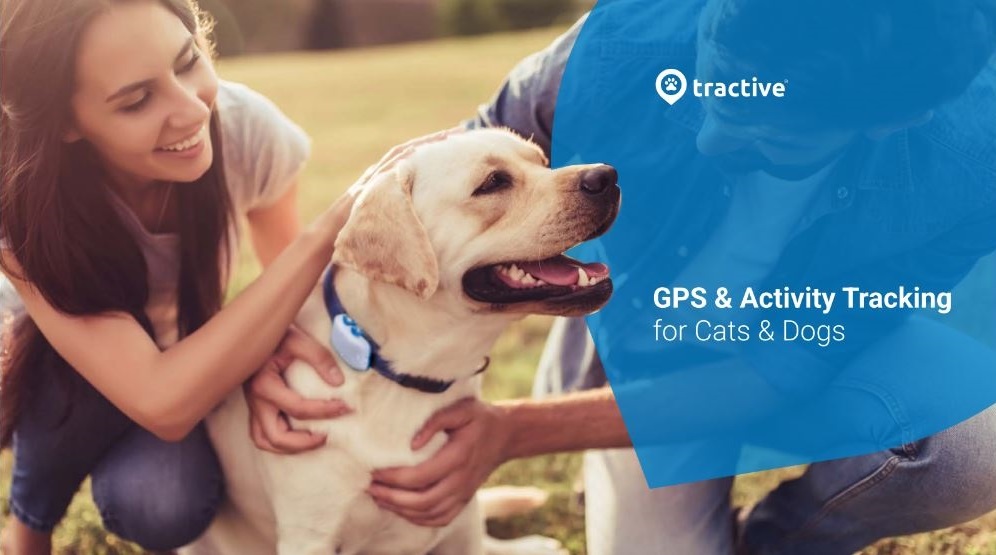 Every Dog Owner Needs This Pet GPS Tracker