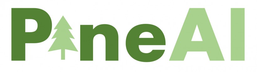 Pine AI Logo