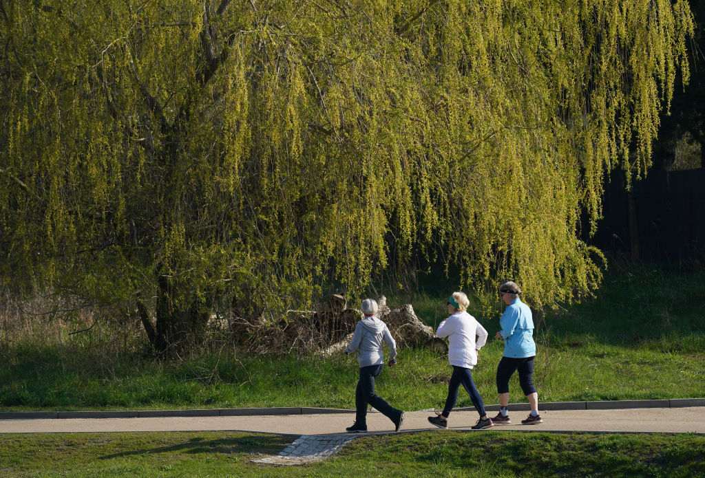 New Study Reveals: Walking 8,000 Steps Daily Linked to Increased Longevity
