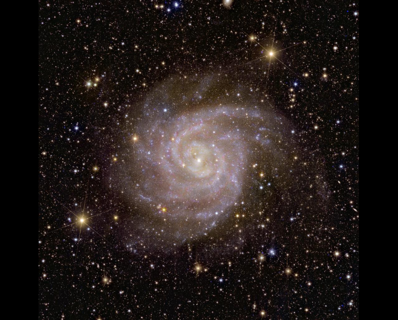 Euclid’s view of spiral galaxy IC 342