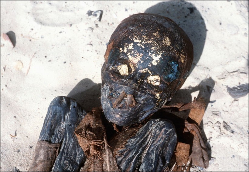 [LOOK] Scientists Impressed About the Brain Structure of 2,300-Year-Old Egyptian Mummy Boy: Why?