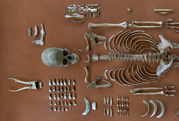 Genetic Research Unravels Mystery of Mesolithic Shaman's Double Burial in Germany