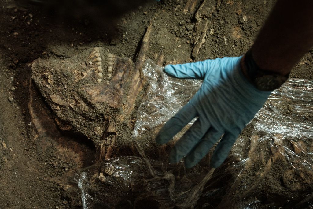 9,000-Year-Old Artifacts and Skeletons Discovered in Brazil Could Rewrite Country's History