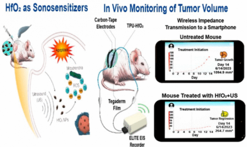 This Skin Patch Offers Real-time Tumor Size Monitoring via Smartphone App