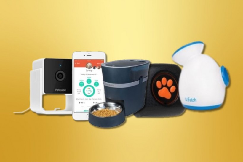 Research Reveals Widespread Data Privacy Concerns in Most Pet Care Tech