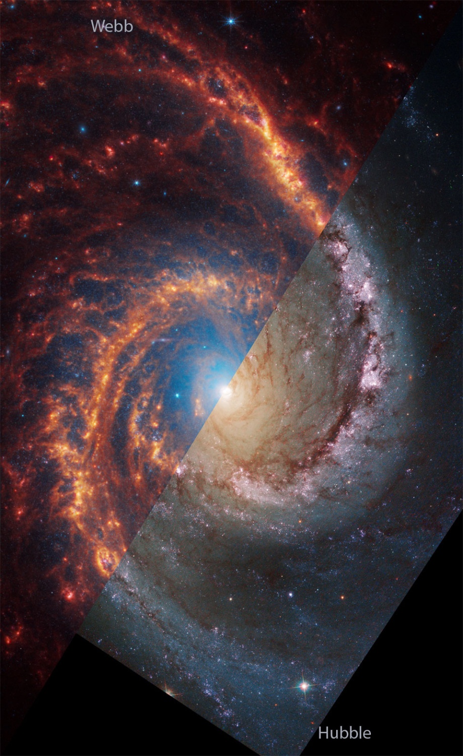 NASA's Picture of the Day Unveils What a Spiral Galaxy Looks Like in the Eyes of Webb and Hubble