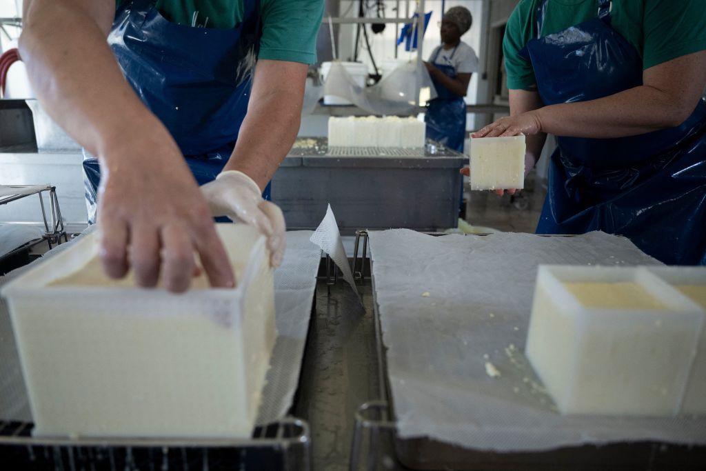 CDC Links E. Coli Outbreak to Raw Milk Cheese in Four States