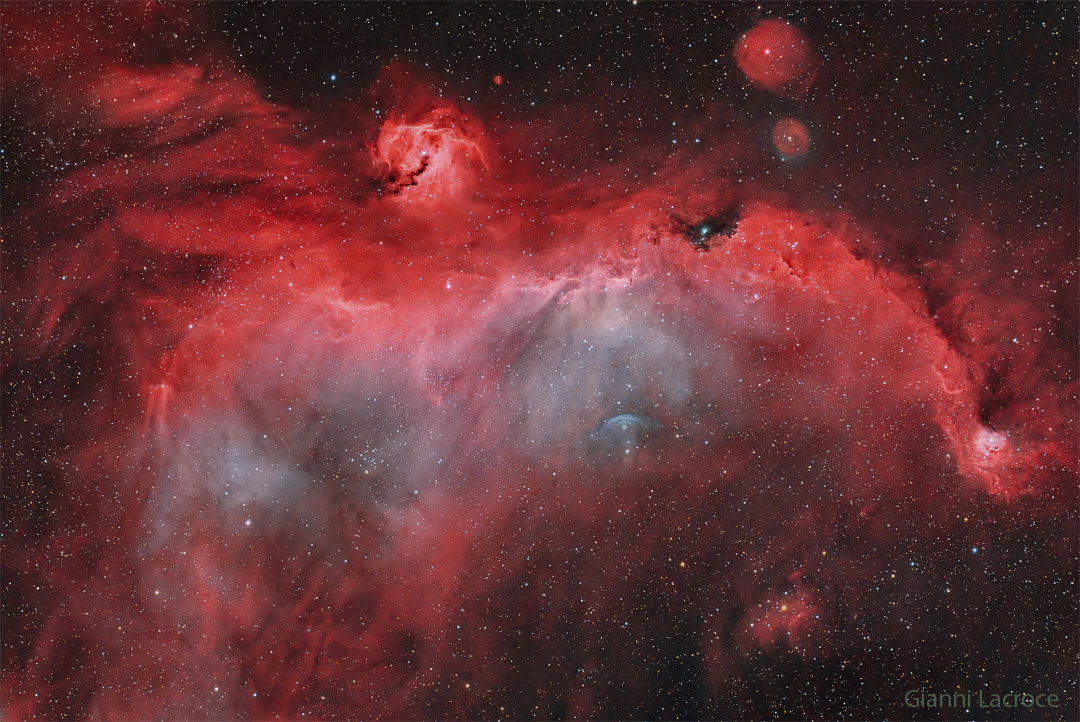 NASA's Picture of the Day Features Stunning Portrait of the Cosmic Bird 'Seagull Nebula'