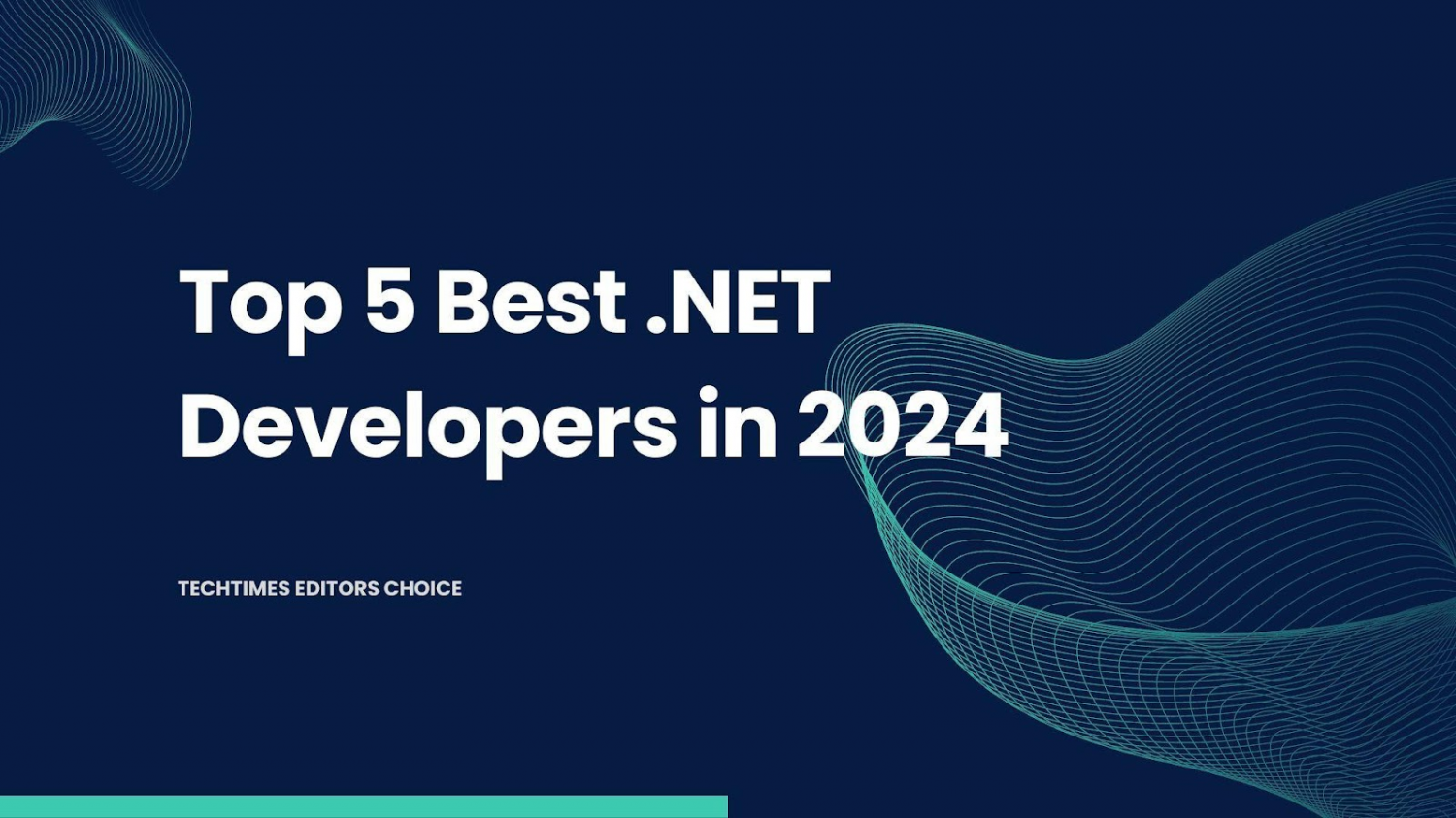 Top 5 Best .NET Developers in 2024