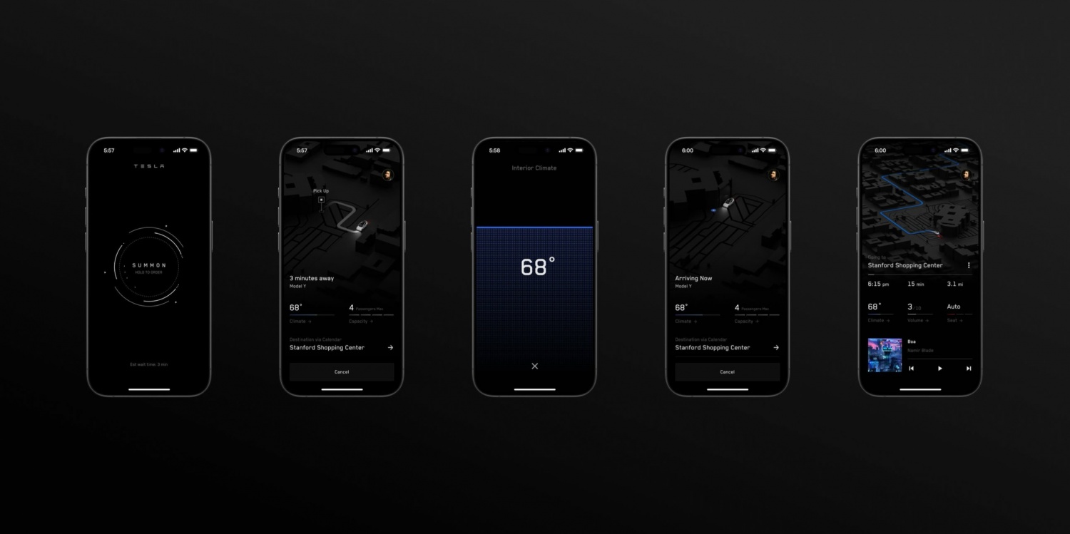 Tesla Robotaxi App Interface