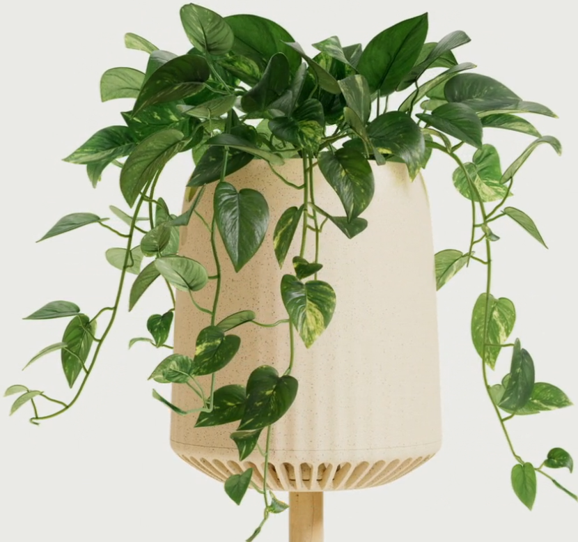 This Plant-Powered Purification System Can Remove Toxins From Air By Up to 30 Times the Normal Rate