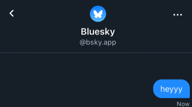 Bluesky Direct Messages