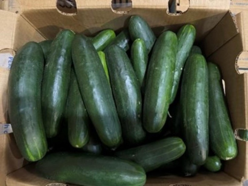 Cucumber Recall Hits 14 States After Salmonella Contamination Concerns