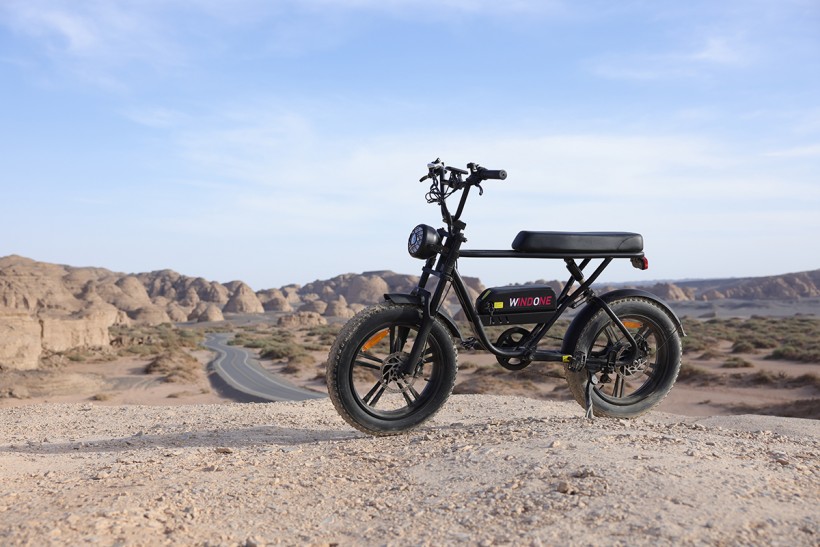 Windone K2 Fat Tire Electric Bike