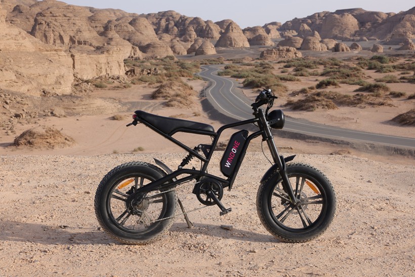 Windone K2 Fat Tire Electric Bike