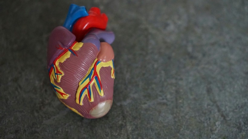 Cardiac Care Breakthrough: BiVACOR Successfully Implants First Fully Mechanical Heart