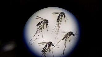 新的美国军方的驱蚊剂成功完成测试!不需要皮肤接触