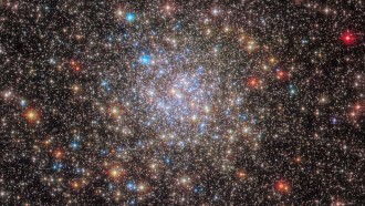 在NGC 6355中观星