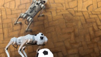 在不同地形上踢足球的四足机器人系统