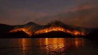 加州消防使用人工智能探测森林火灾而不需要人类的眼睛