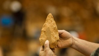 考古学家发现的证据在路易斯安那州12000岁人类占领森林