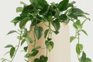 This Plant-Powered Purification System Can Remove Toxins From Air By Up to 30 Times the Normal Rate