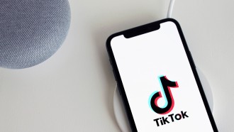 TikTok Fails 'Disinformation Test,' Approves Misleading Election Ads Ahead of EU Vote, Study Shows
