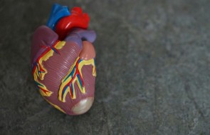 Cardiac Care Breakthrough: BiVACOR Successfully Implants First Fully Mechanical Heart